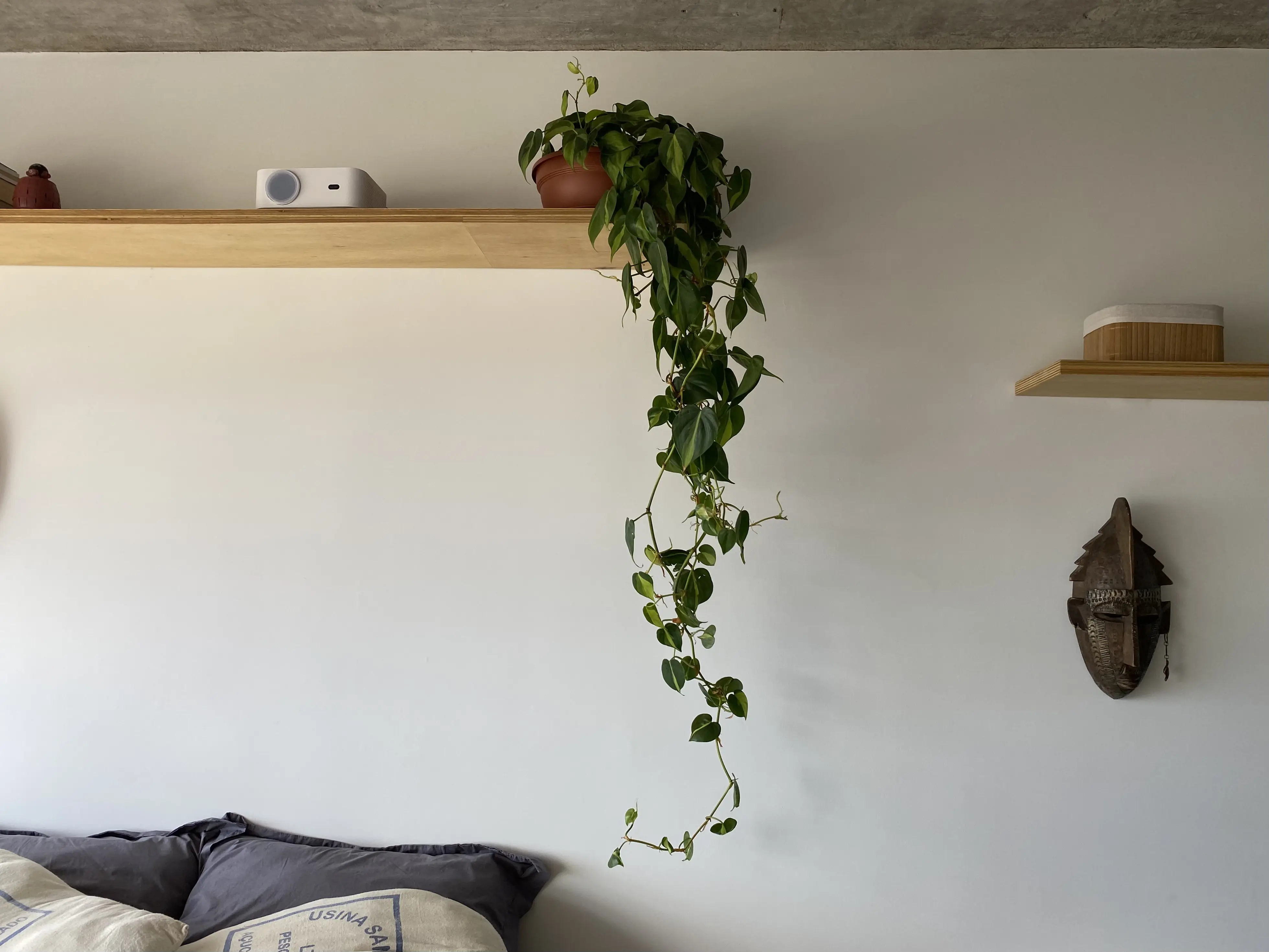 Cover Image for /assets/projects/aptorr/aptorr07.webp