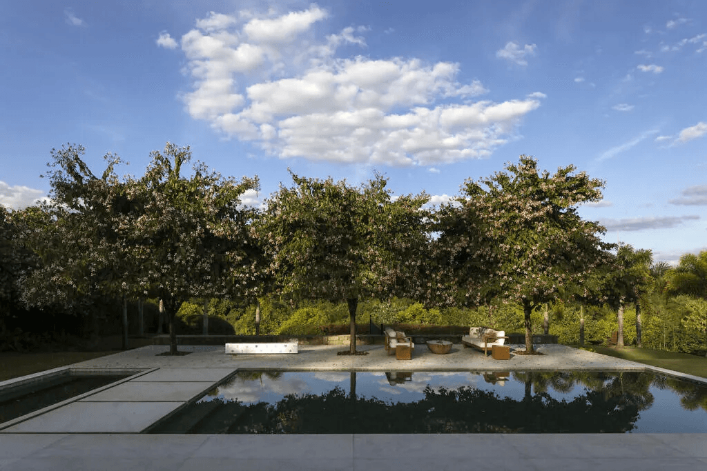 Cover Image for /assets/projects/djb/djb08.jpg