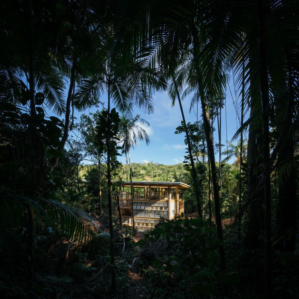 Cover Image for /assets/projects/sedeflorestal/sedeflorestal07.jpeg